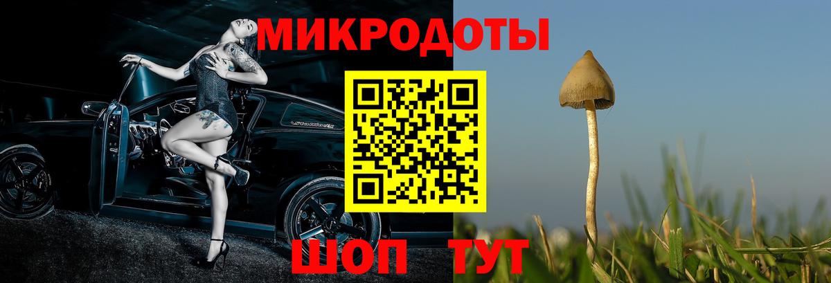 Псилоцибиновые грибы Psilocybine cubensis  Вход с VPN  Кстово  Псилоцибиновые грибы MAGIC MUSHROOMS 